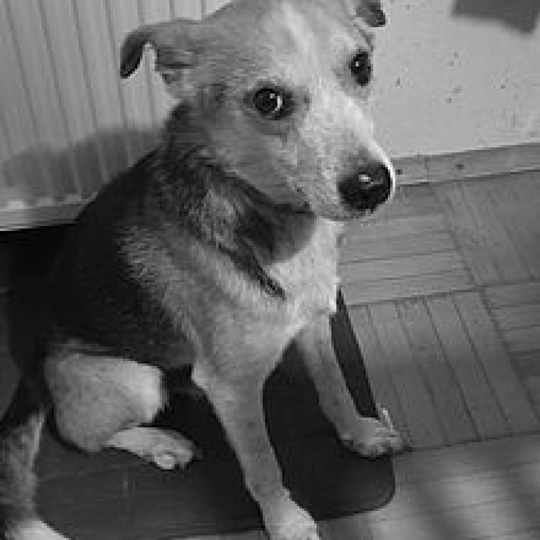 Lucky († 21.02.2025)