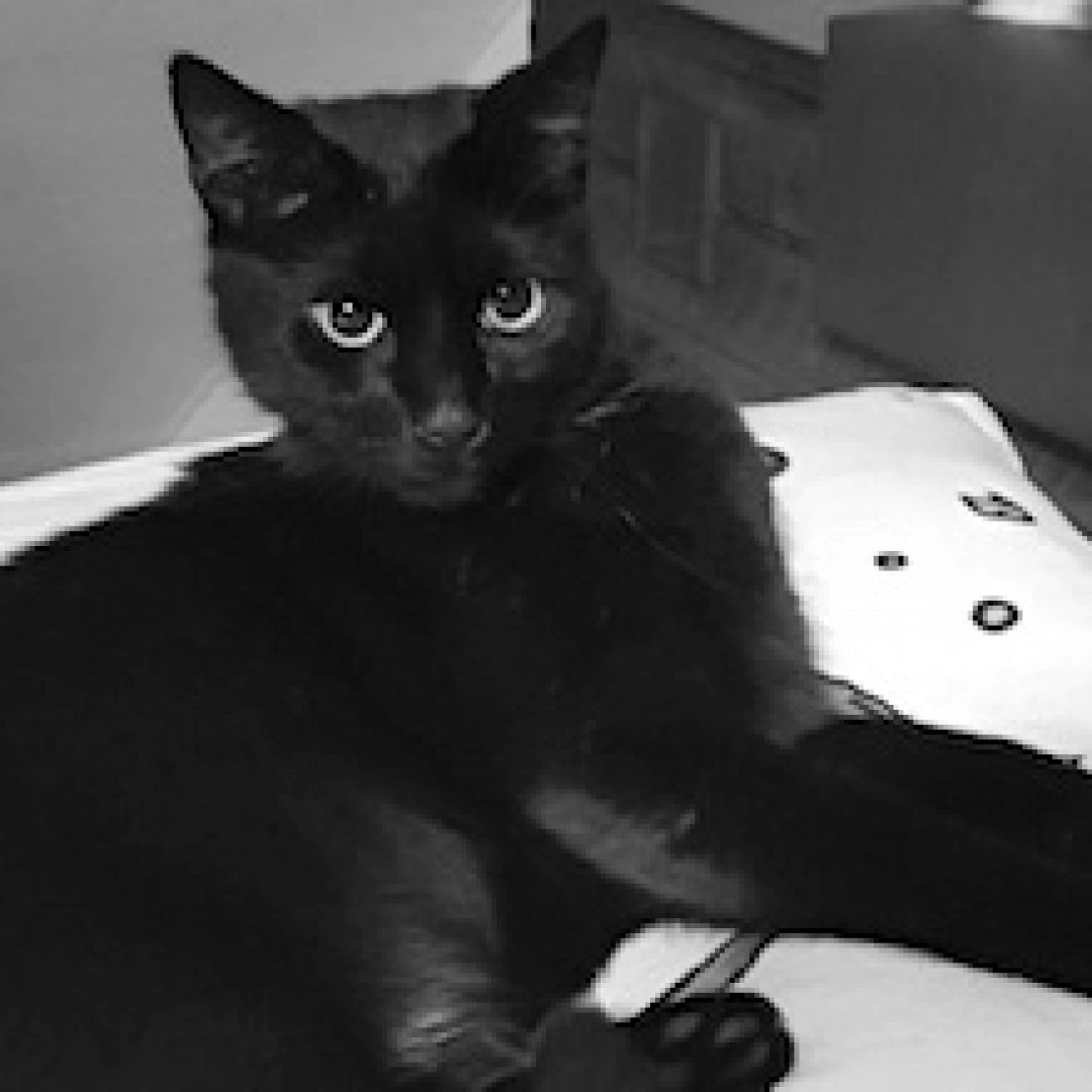 Pedro († 28.08.2020)