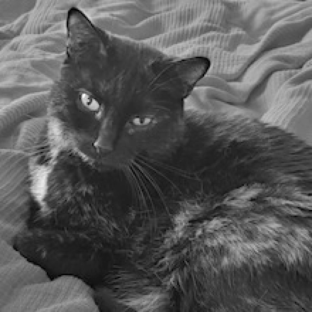 Samira († März 2021)