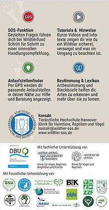 csm_flyer_wildtiere_1_sos_20-01-26_3535e24a39