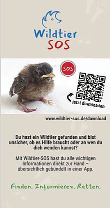 csm_flyer_wildtiere_sos_20-01-26_3d30e564bc