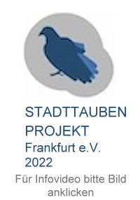 csm_stadttaubenprojekt_button_c2795b72d9