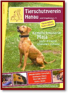 Tierheimzeitung Ausgabe 2013