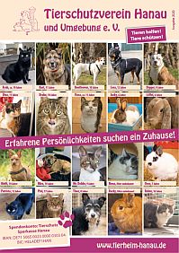 Tierheimzeitung Ausgabe 2020