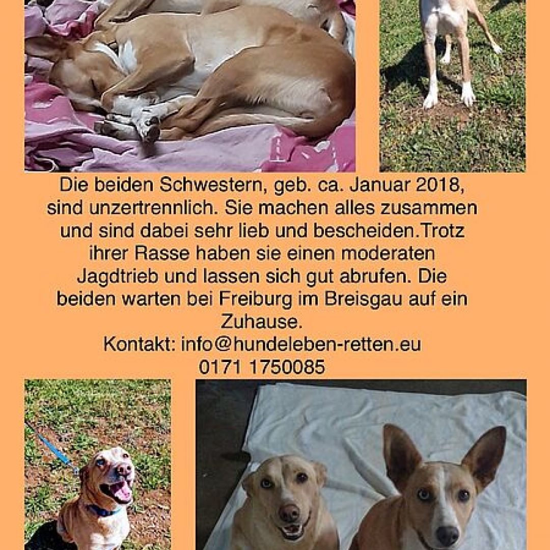 Maria und Joana