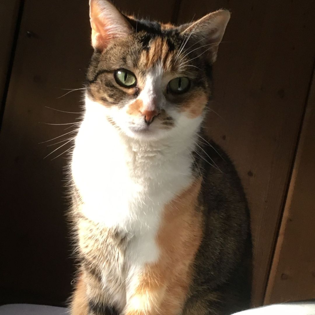 Gigi und Jojo