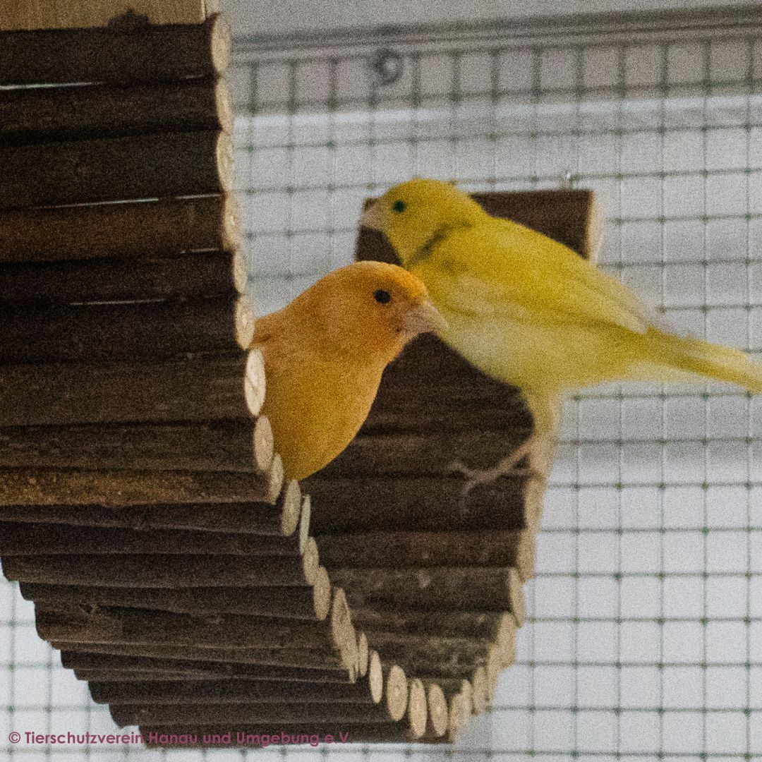 Elton und Martin