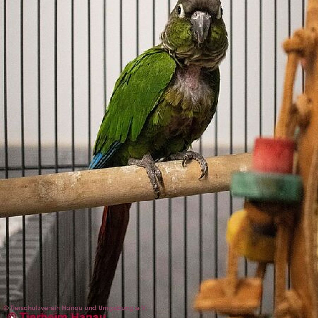 Rio