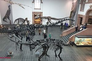Galerie